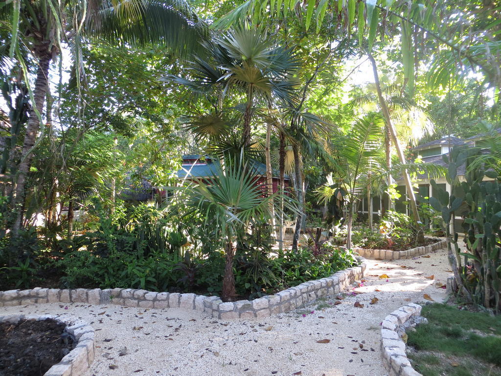 Tingalaya'S Retreat Hotel Negril Exterior photo