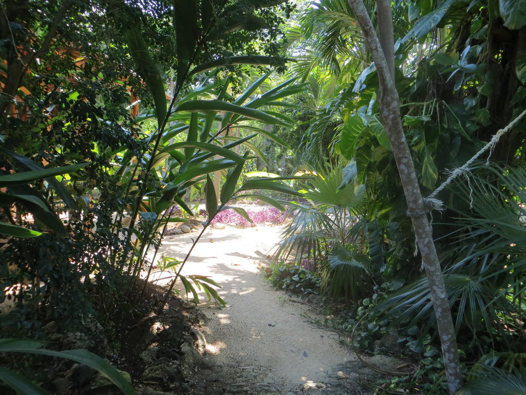 Tingalaya'S Retreat Hotel Negril Exterior photo