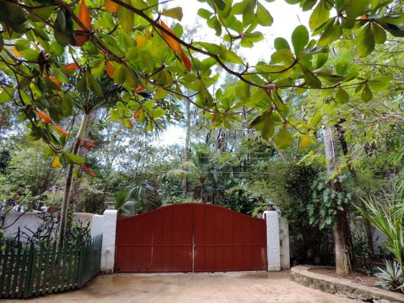Tingalaya'S Retreat Hotel Negril Exterior photo
