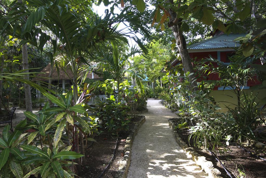 Tingalaya'S Retreat Hotel Negril Exterior photo