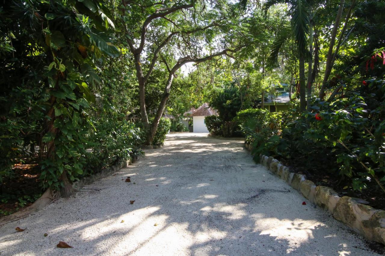Tingalaya'S Retreat Hotel Negril Exterior photo